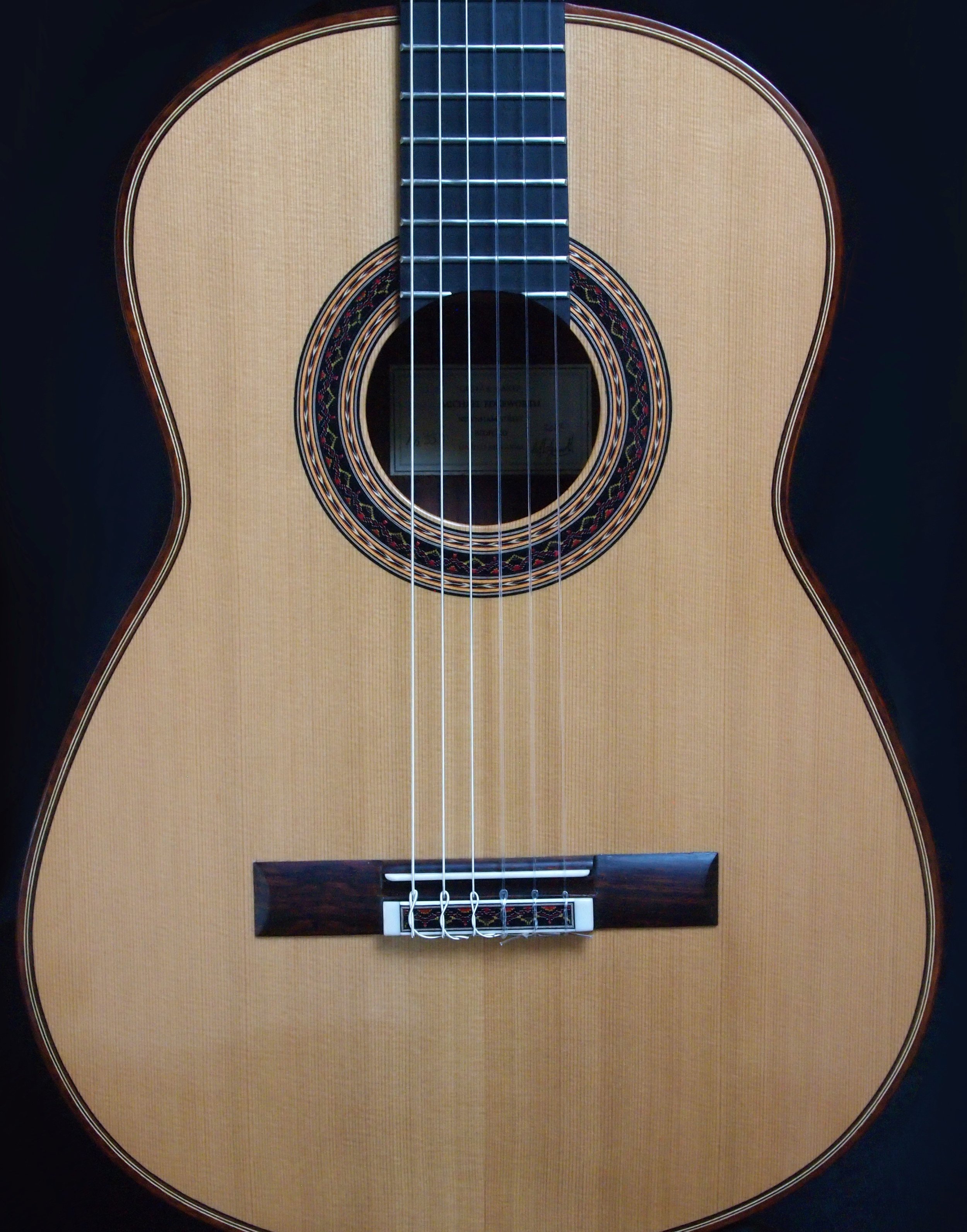 Classical top guitar dealers